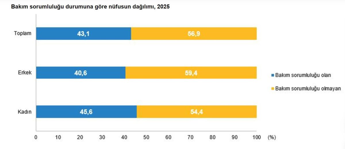 2025te-turkiyede-bakim-sorumlulugu-ve-istihdam-ZqlTWVXa.jpg
