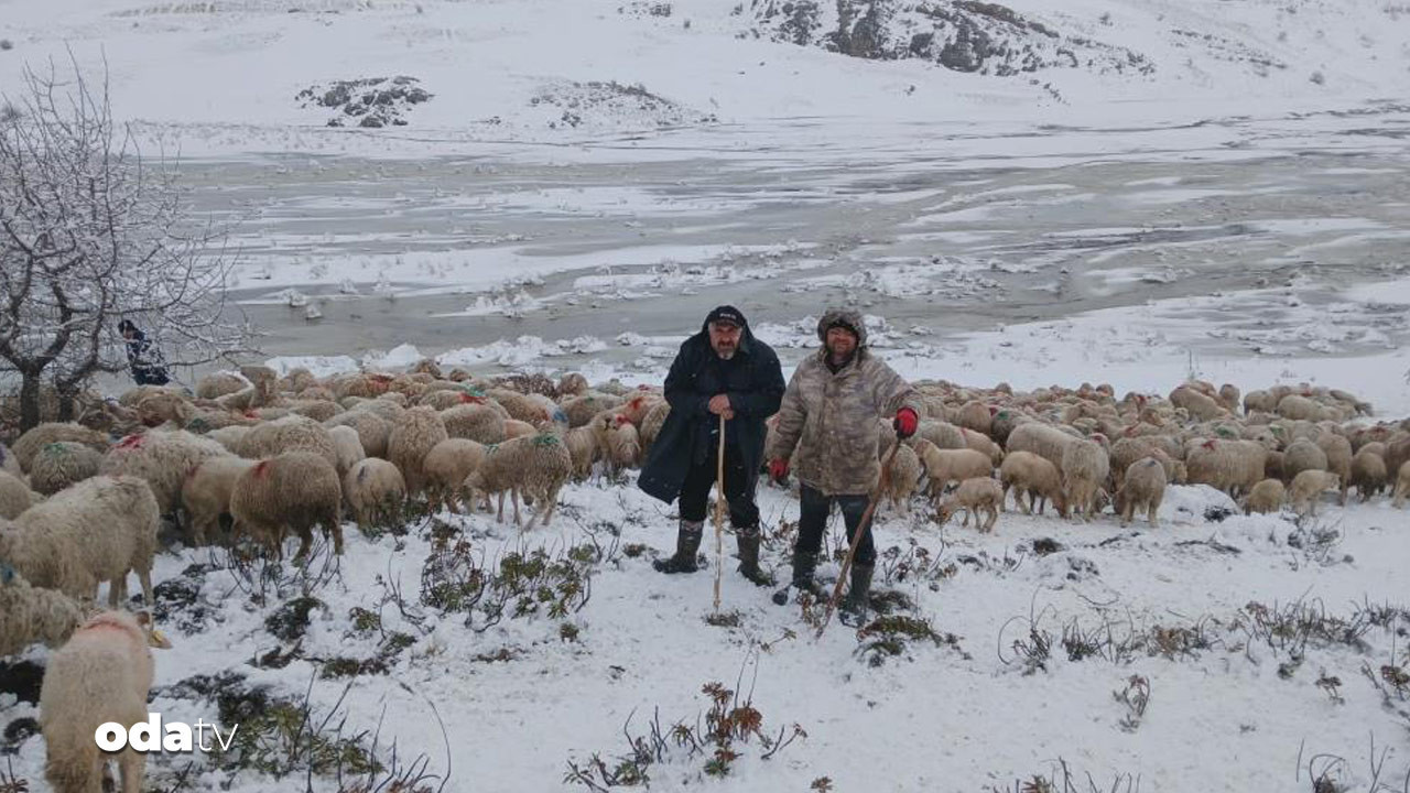 iki-coban-ve-650-koyun-mahsur-kaldi-yvZUeLKi.jpg