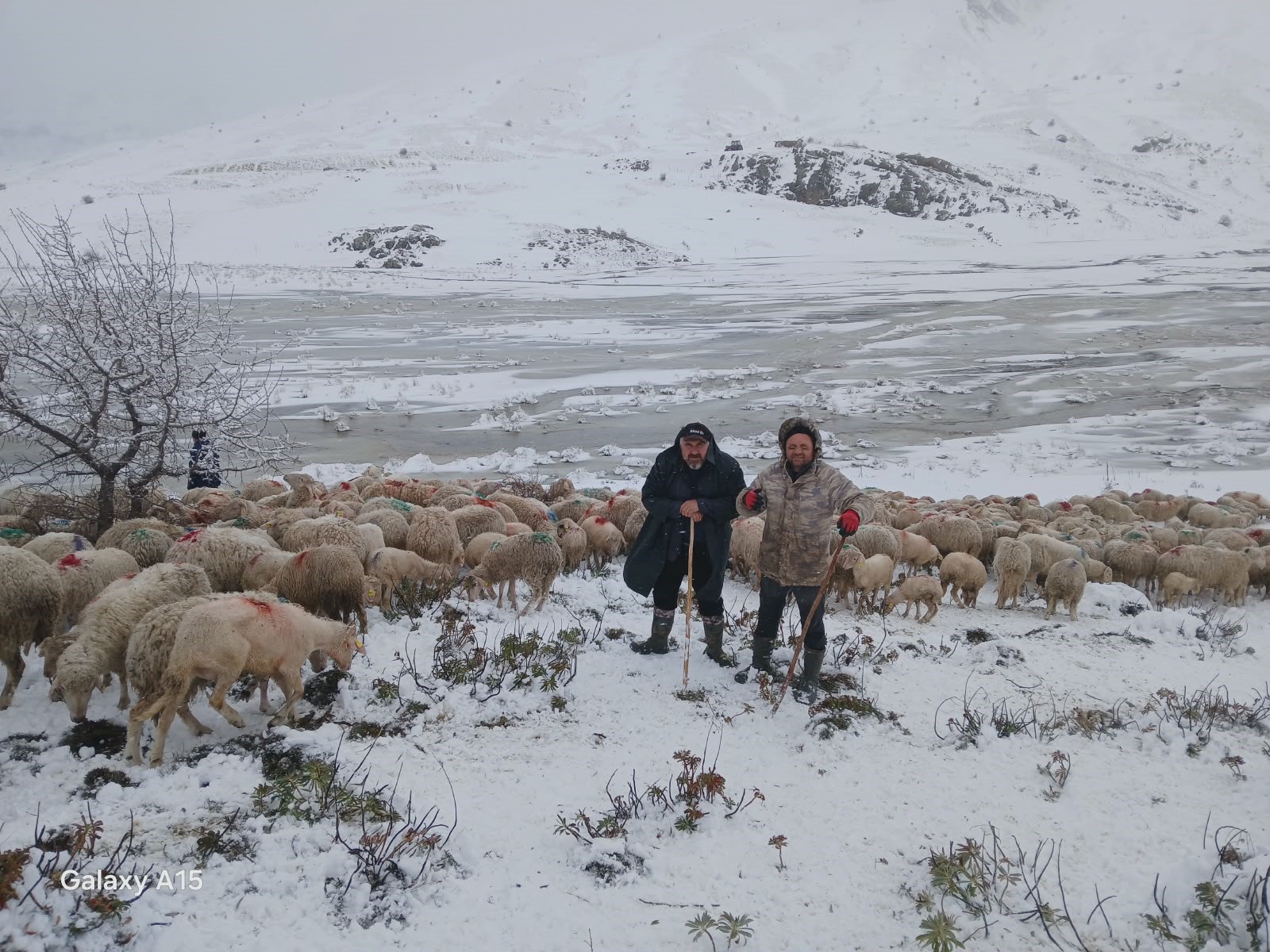 tipi-ve-heyelan-nedeniyle-2-coban-ve-650-kucukbas-yaylada-mahsur-kaldi-y7WReKP1.jpg