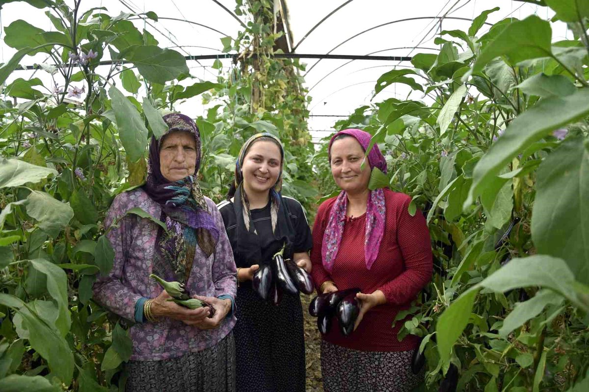uc-kusak-kadin-ciftciler-patlican-ve-domates-uretiyorlar-JuOedHjC.jpg